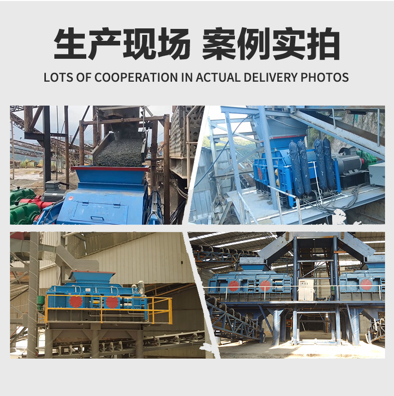 小型對輥打沙機 小型對輥打沙機